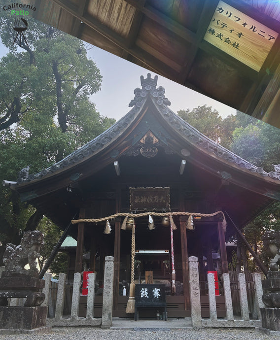 寄付