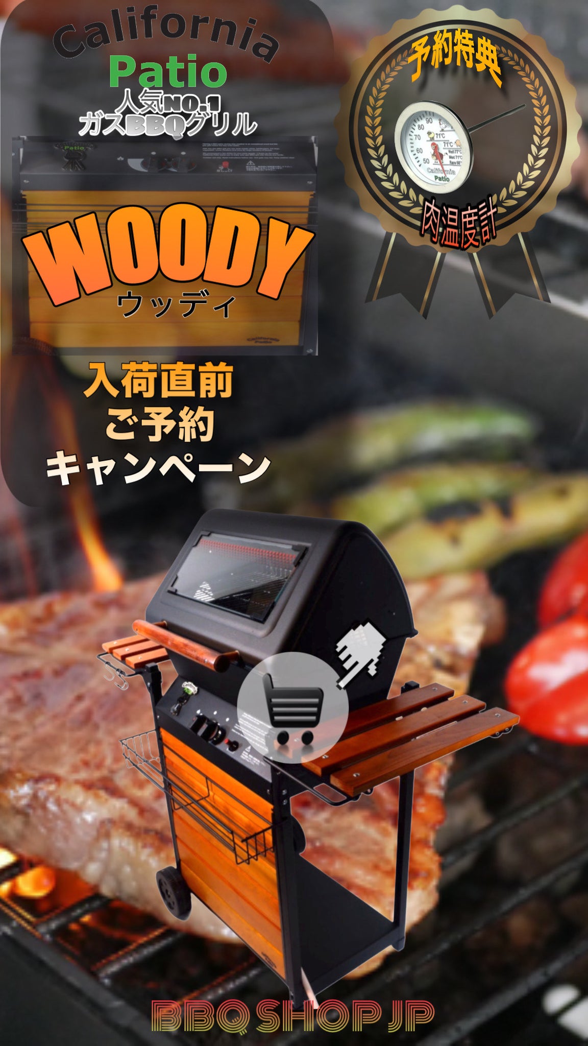 ご予約開始 【確定 2024年１2月１５日前後 出荷予定】屋外専用ガスバーベキューグリル WOODY ウッディ, バーベキューコンロ, - –  🎉🍖 BBQSHOP🥩🍗